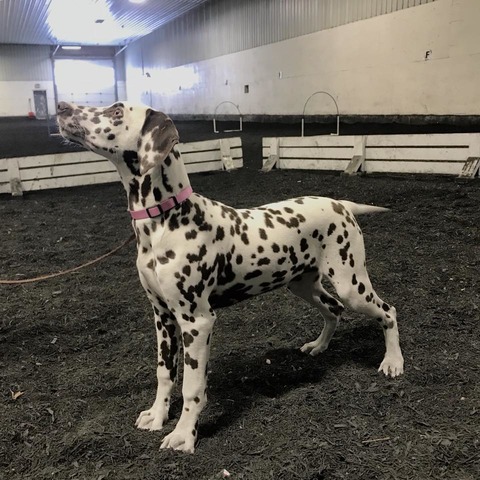 London @ 4 Months old